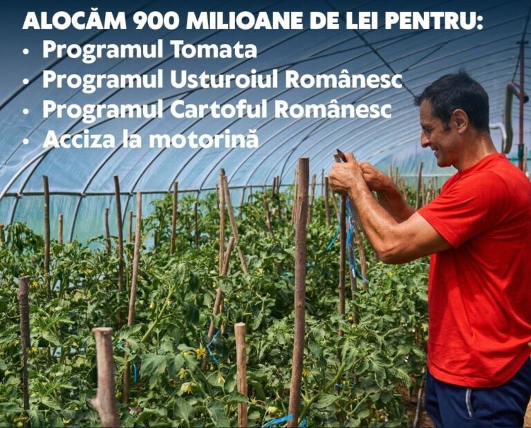 Pentru programele Tomata, Usturoiul și Cartoful Românesc au fost alocate 900 de milioane de lei