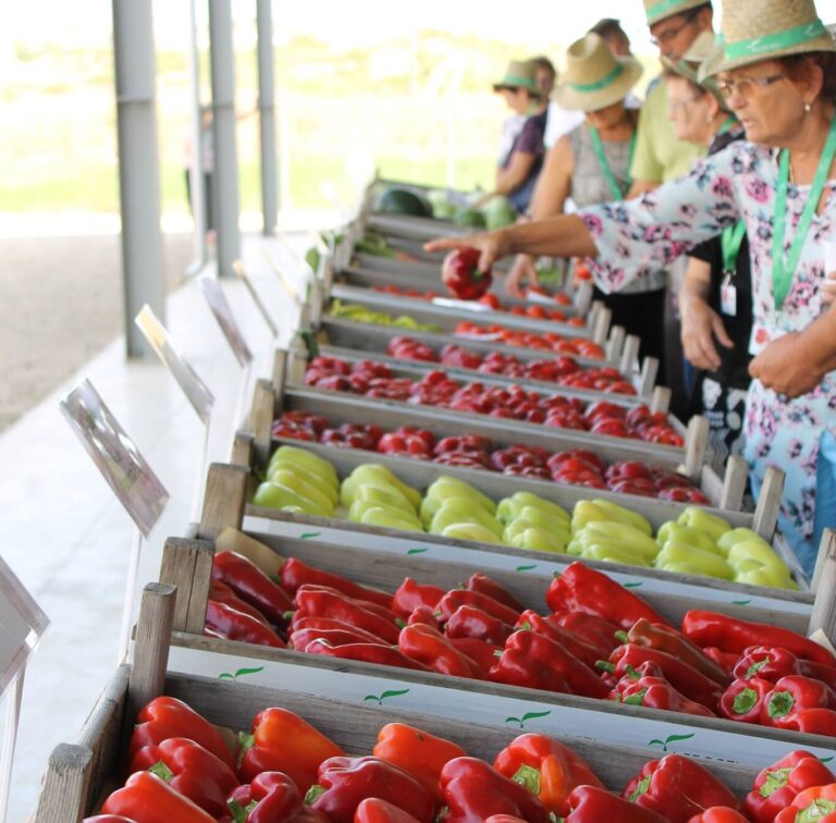 Zilele Recoltei 2024. 11-13 octombrie, trei zile de petreceri pentru Ziua Națională a Produselor Agroalimentare Românești