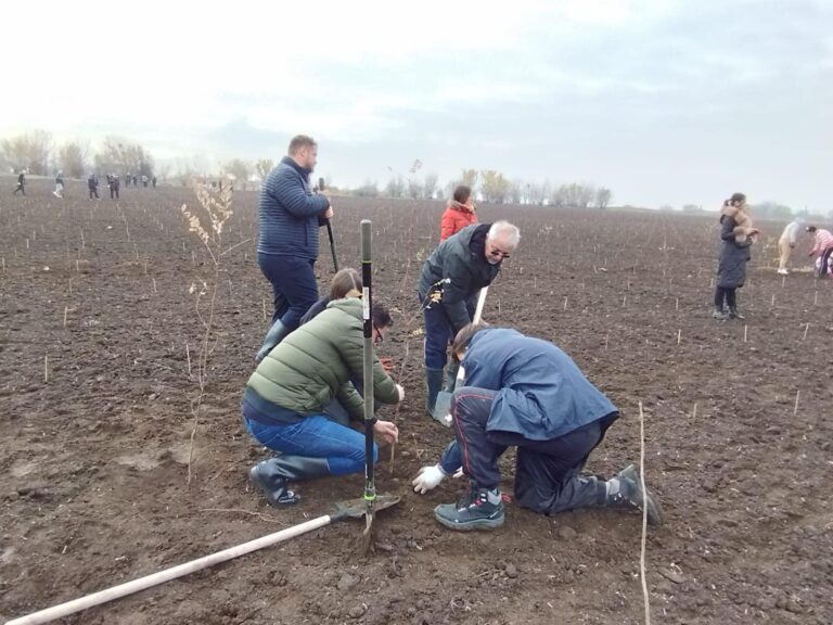 Primăria Caracal și Asociația EcoAssist,  campanie de împădurire cu  38.000 de puieți
