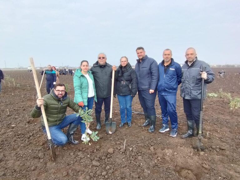 Caracal. A fost organizată o campanie de împădurire cu 38.000 de puieți forestieri de salcâm, stejar brumăriu, frasin de Pensilvania și maclură a unui teren ce are o suprafață de opt hectare
