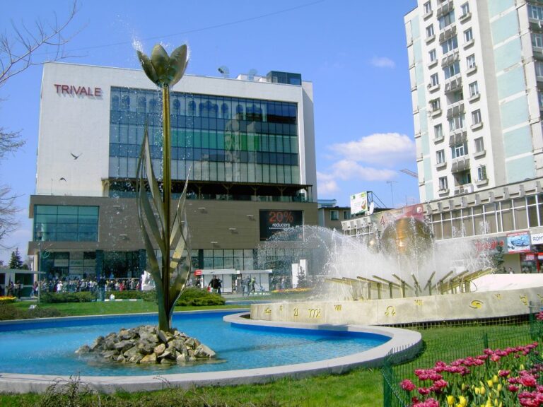 Candidați județul Argeș alegeri parlamentare 2024. Cine candidează în Argeș la Camera Deputaților și Senat