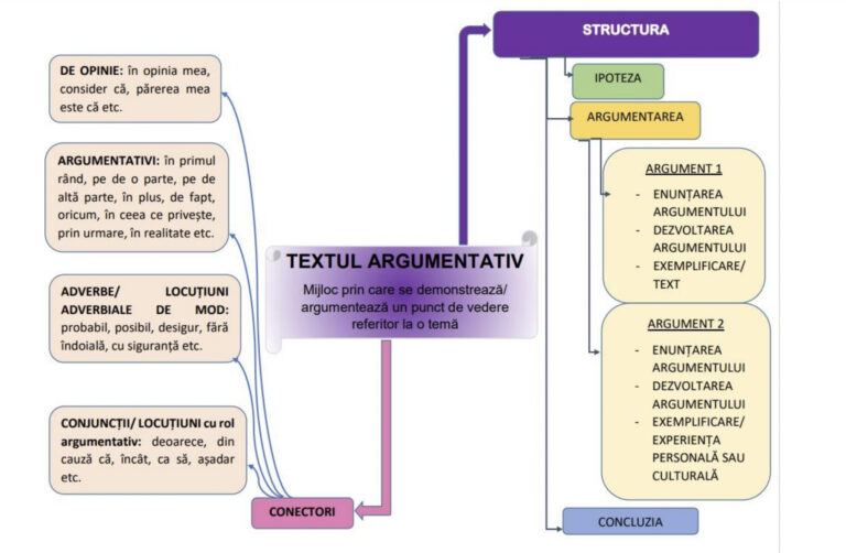 Modele de hărți conceptuale pentru limba și literatura română, clasa a VIII-a și a XII-a, pentru profesori și elevii cu cerințe educaționale speciale care susțin Evaluarea Națională și Bacalaureatul în 2005