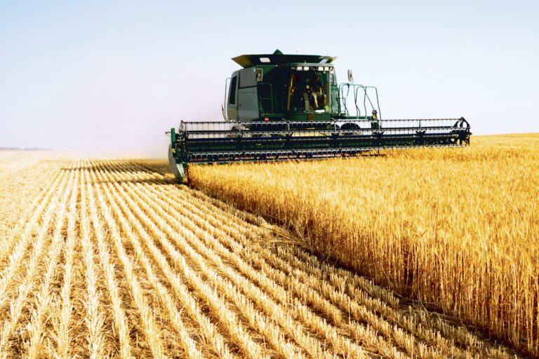 Care sunt prețurile pentru produsele agricole în 2025?