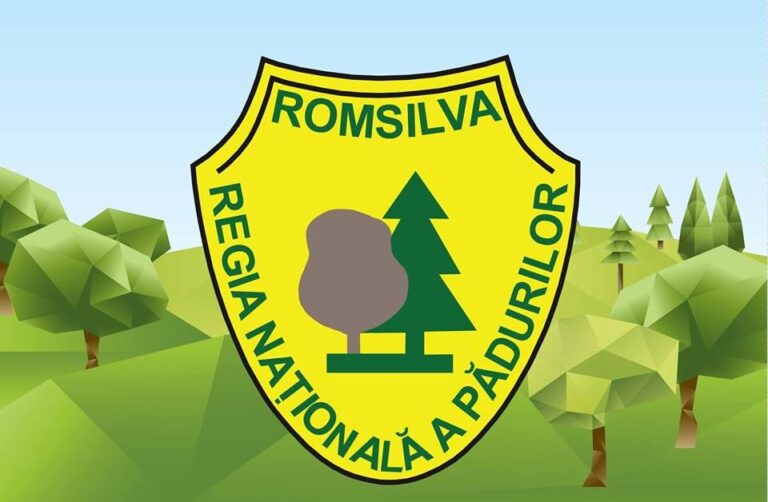 Romsilva Olt, fără… director!