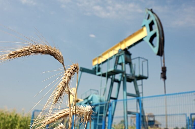 OMV Petrom anunță o nouă descoperire semnificativă de gaze naturale în zona Spineni