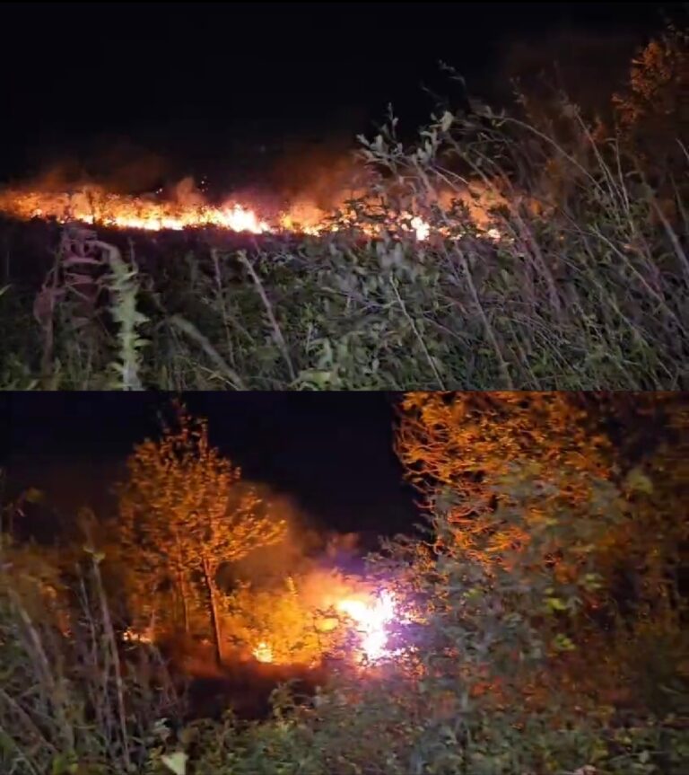 Incendiu de vegetație în comuna Milcov, pericol de extindere la gospodării evitat de pompieri
