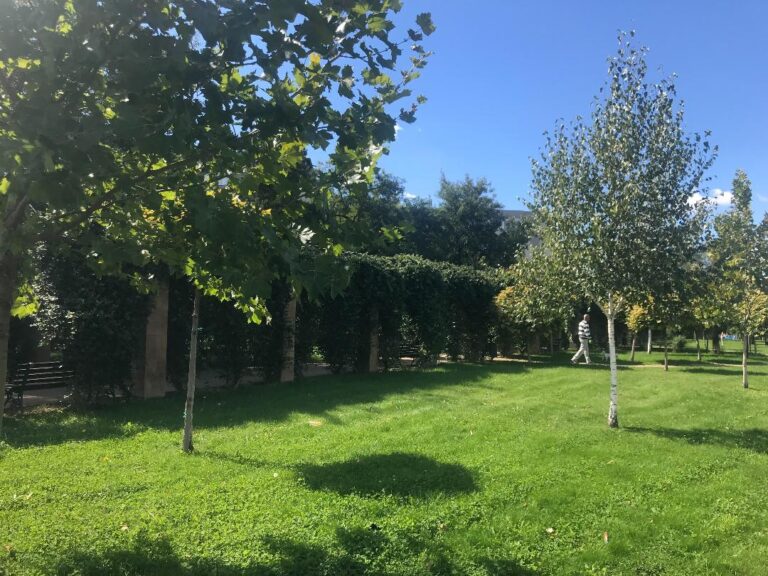 Cum va fi afectată România de vortexul polar care se formează deasupra Arcticii