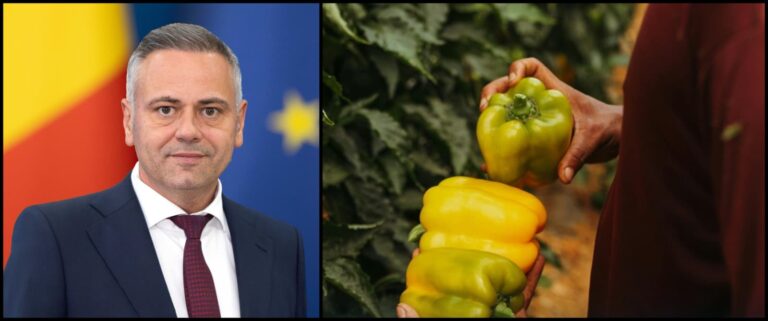 Ministerul Agriculturii simplifică procedurile pentru fermierii din programul de sprijin al legumelor în spații protejate