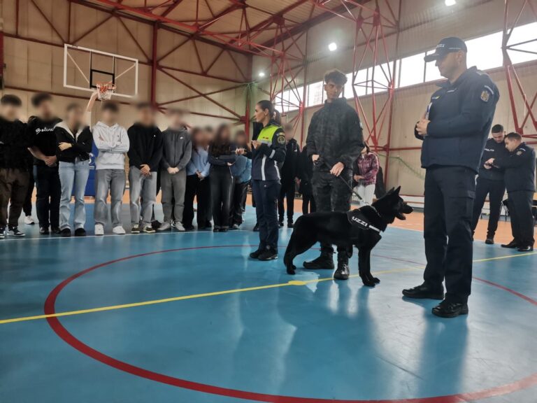 Polițiștii olteni, în mijlocul elevilor. Acțiuni preventive pentru un mediu școlar sigur