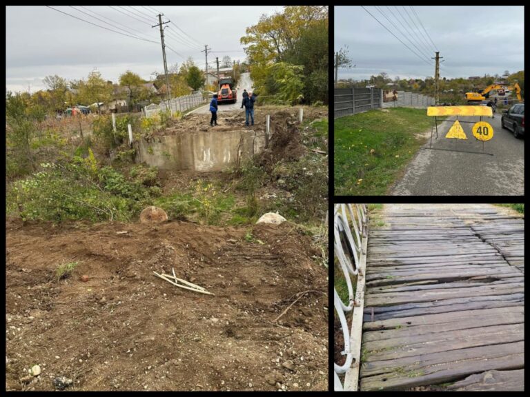 Hai că se poate. Un pod de piatră la Bălteni