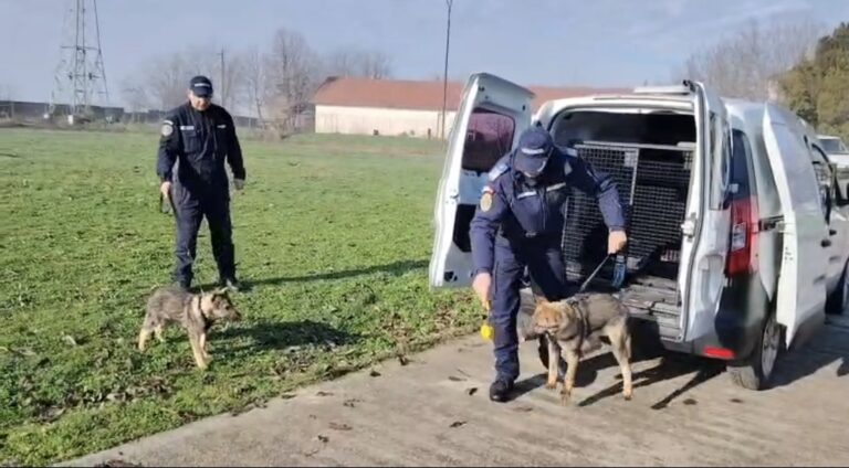 Structura canină a Jandarmeriei Olt se mărește. Iabat și Iacata încep programul de pregătire